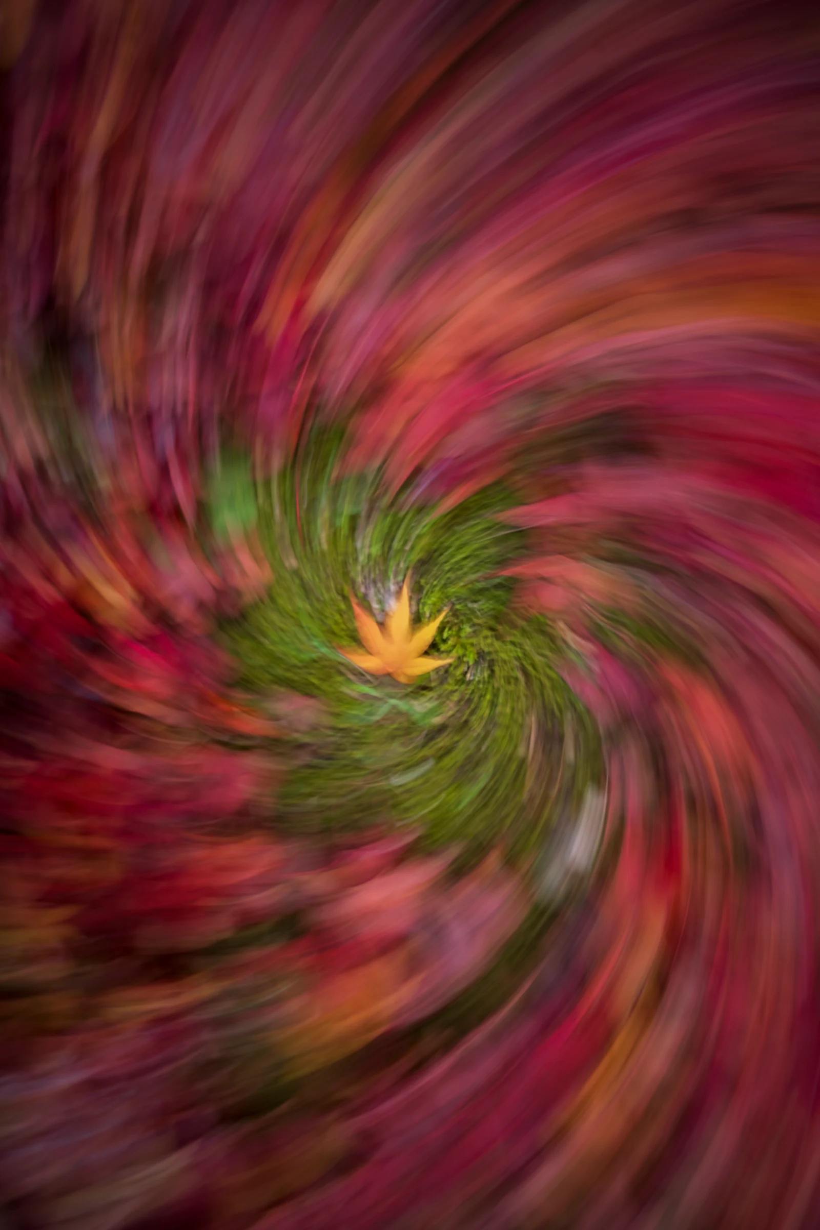 Fine art photograph from the Japan Landscapes collection