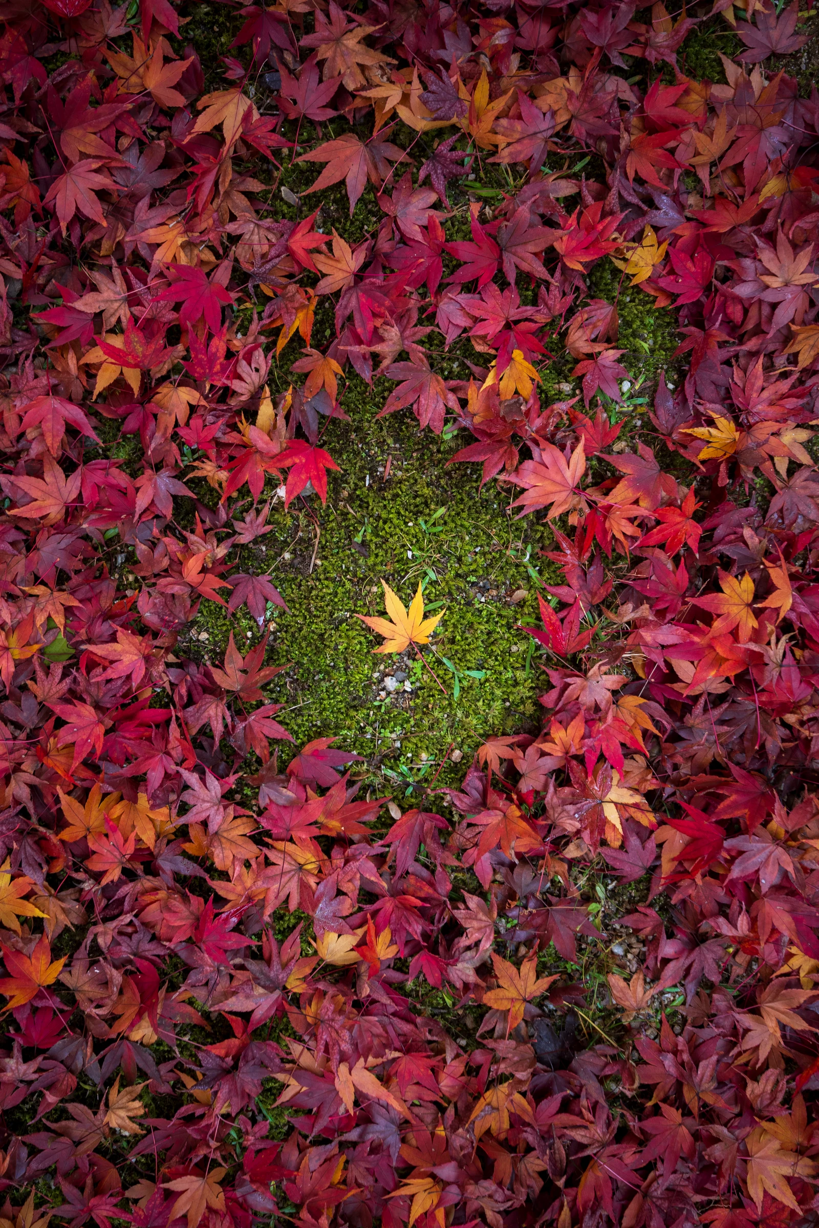 Fine art photograph from the Japan Landscapes collection