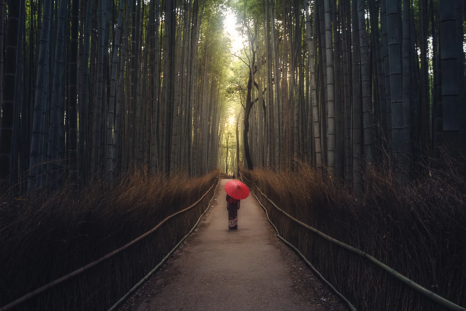 Fine art photograph from the Japan Landscapes collection