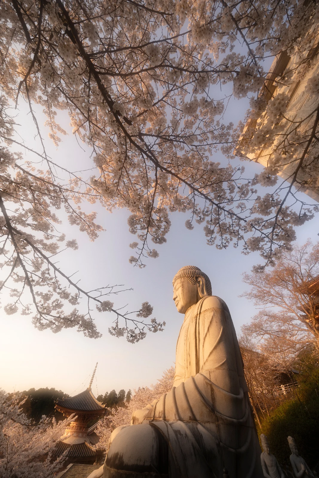 Fine art photograph from the Japan Landscapes collection