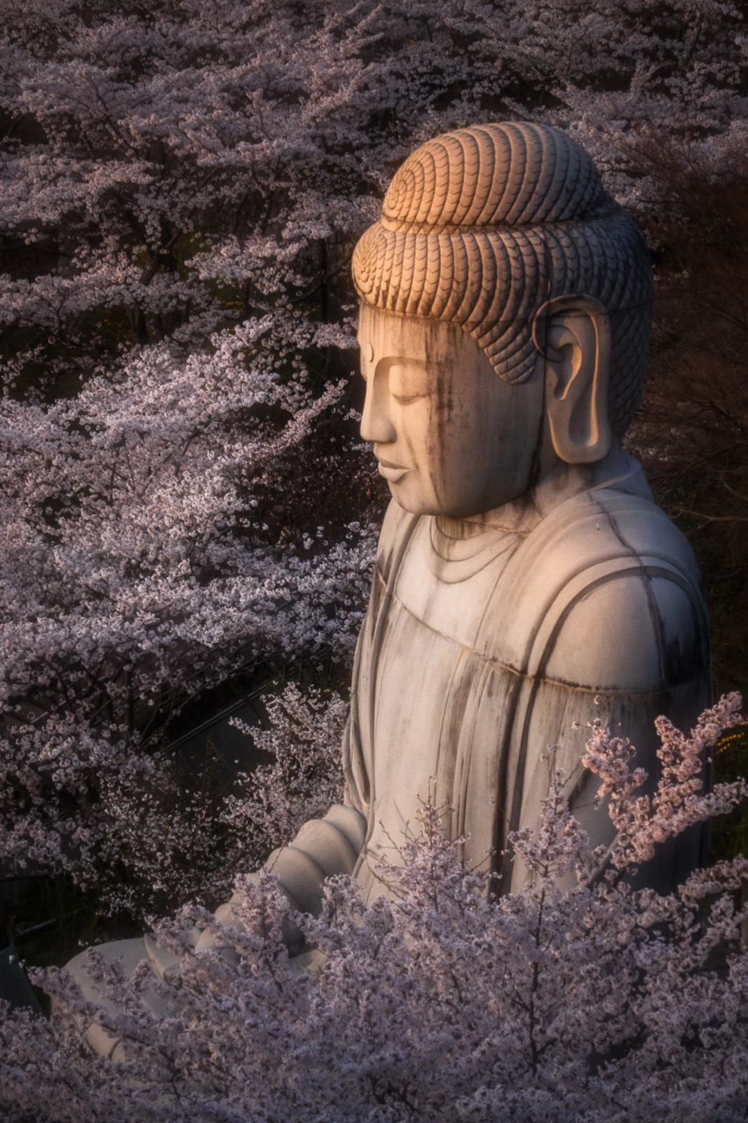 Fine art photograph from the Japan Landscapes collection