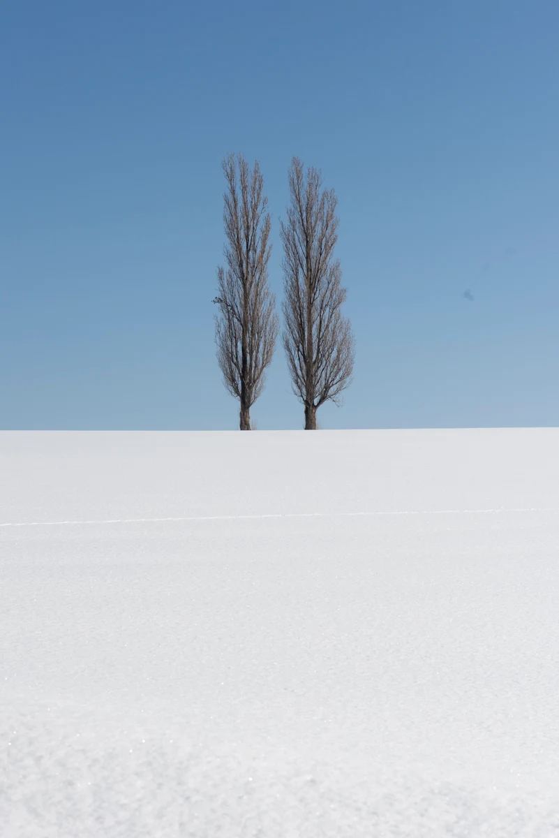 Fine art photograph from the Minimal Japan collection