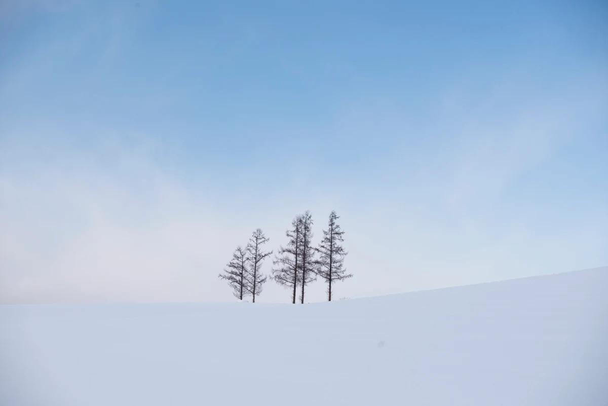 Fine art photograph from the Minimal Japan collection