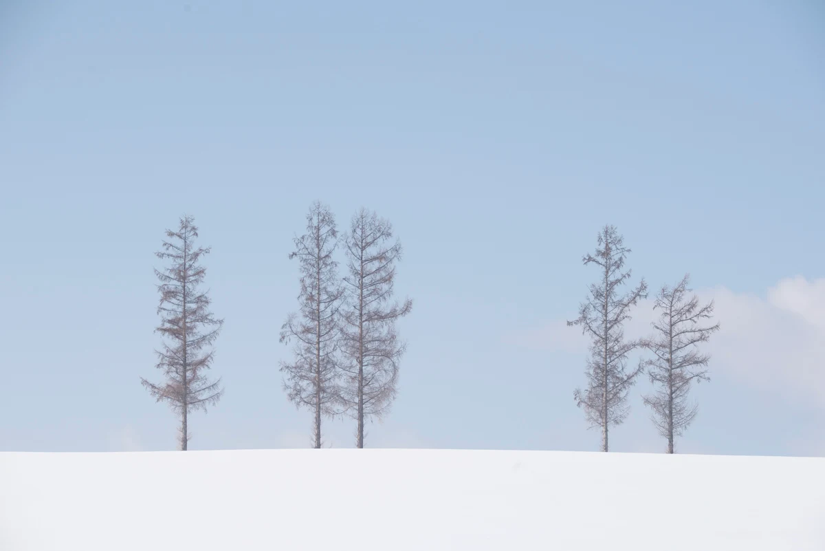 Fine art photograph from the Minimal Japan collection