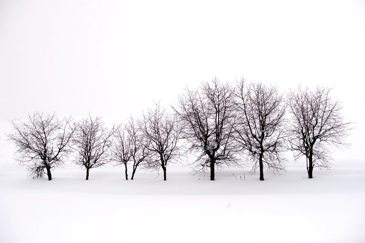 Fine art photograph from the Minimal Japan collection