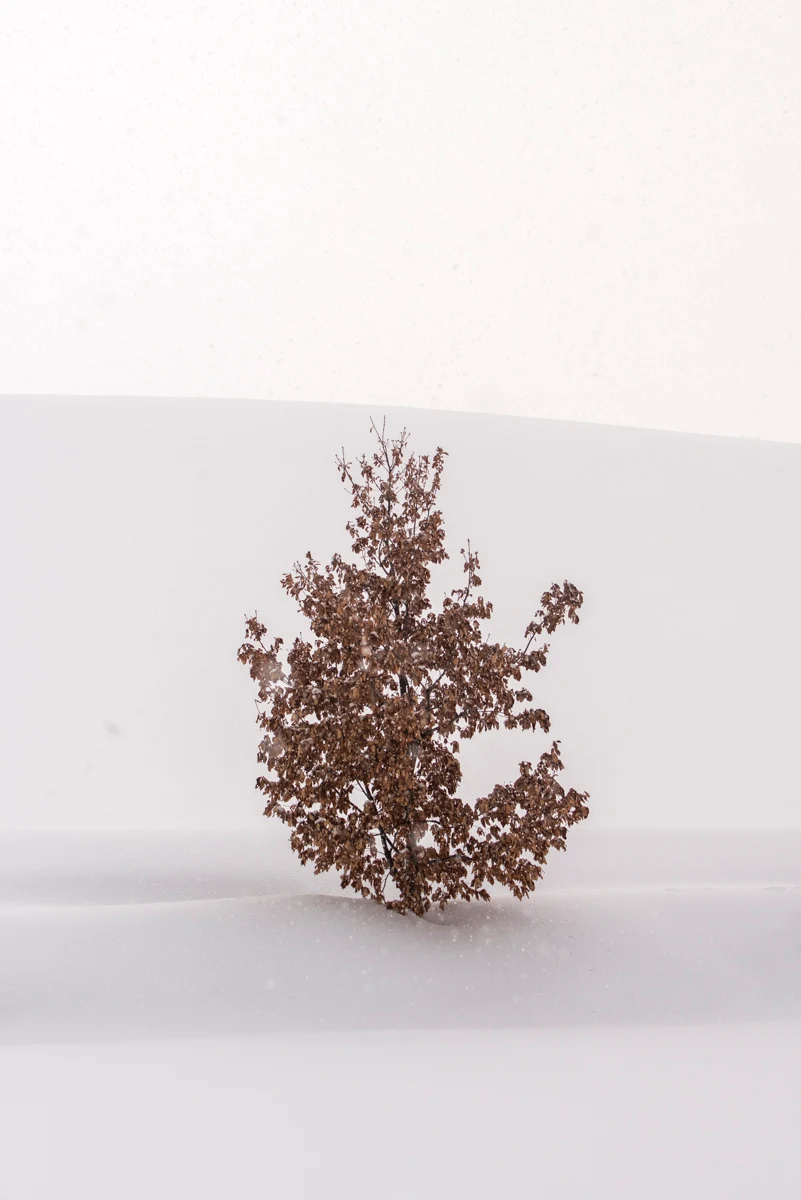 Fine art photograph from the Minimal Japan collection
