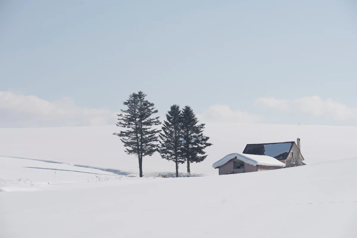 Fine art photograph from the Minimal Japan collection