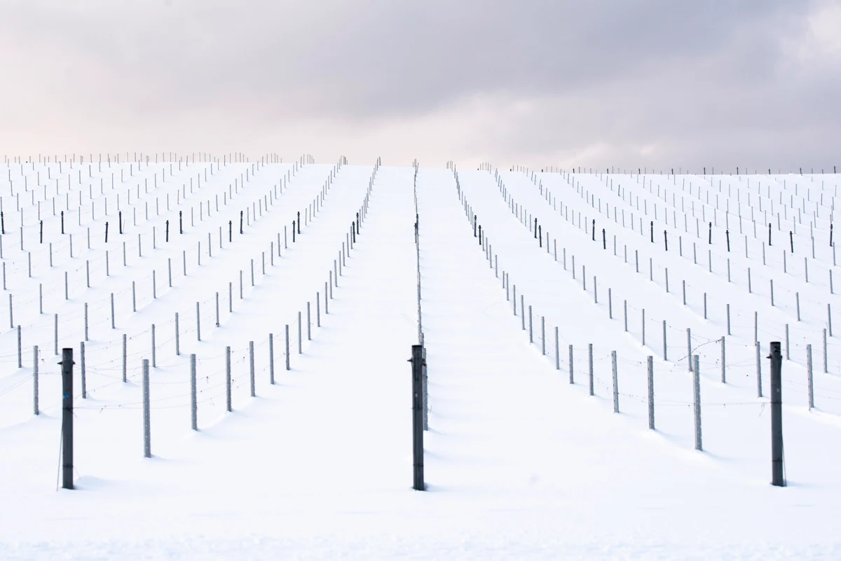 Fine art photograph from the Minimal Japan collection
