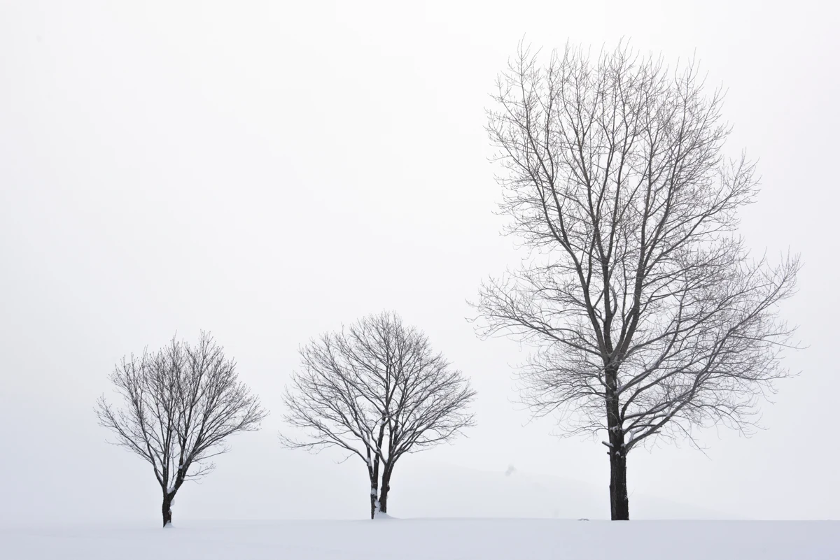 Fine art photograph from the Minimal Japan collection