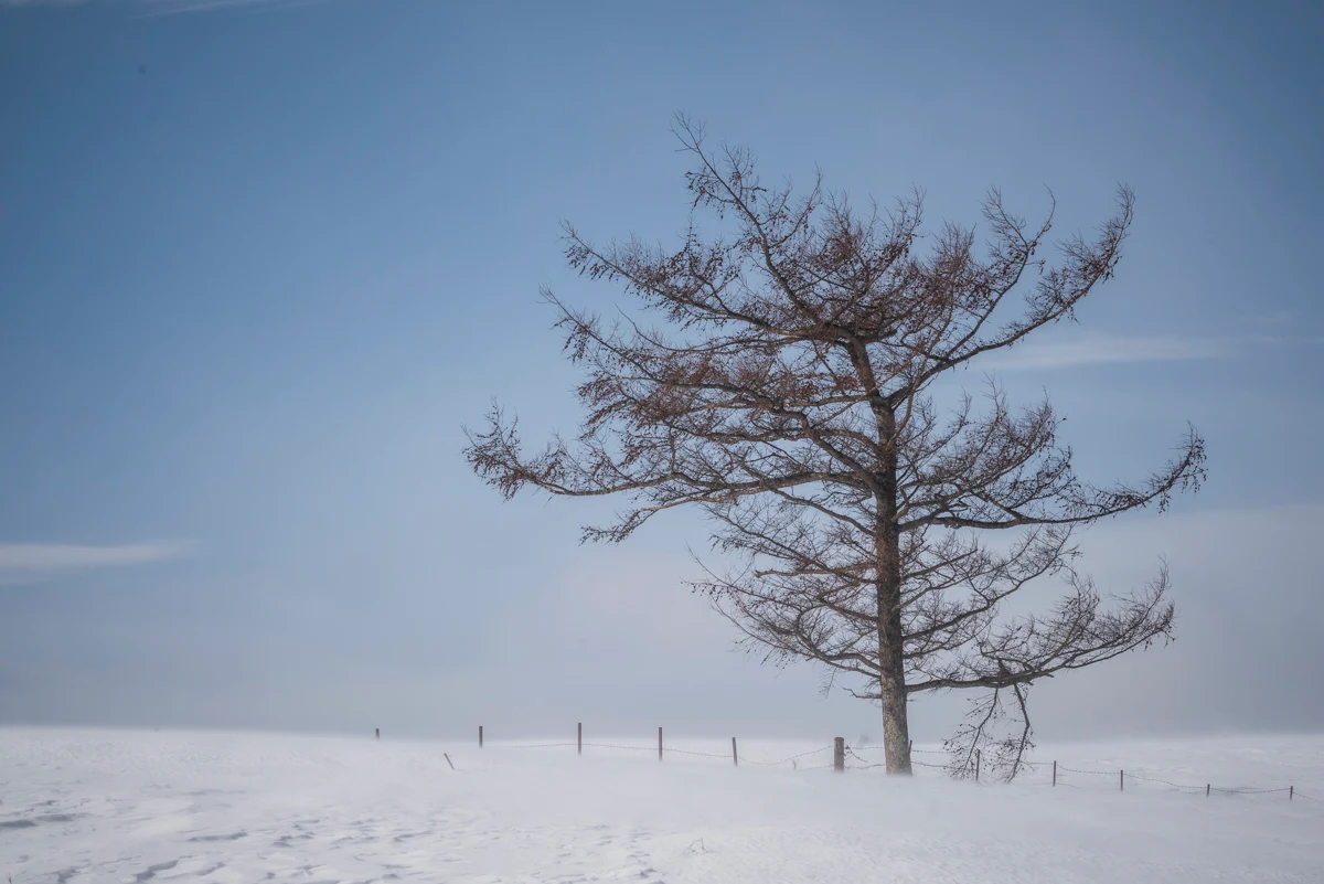 Fine art photograph from the Minimal Japan collection