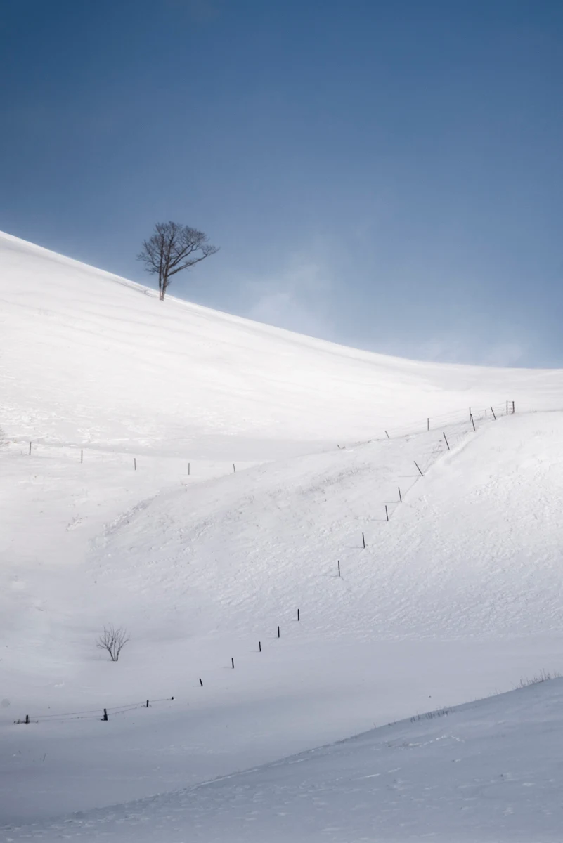Fine art photograph from the Minimal Japan collection