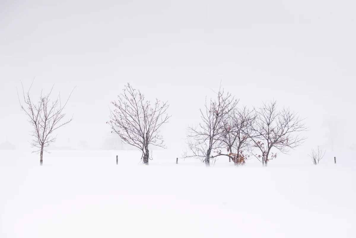 Fine art photograph from the Minimal Japan collection
