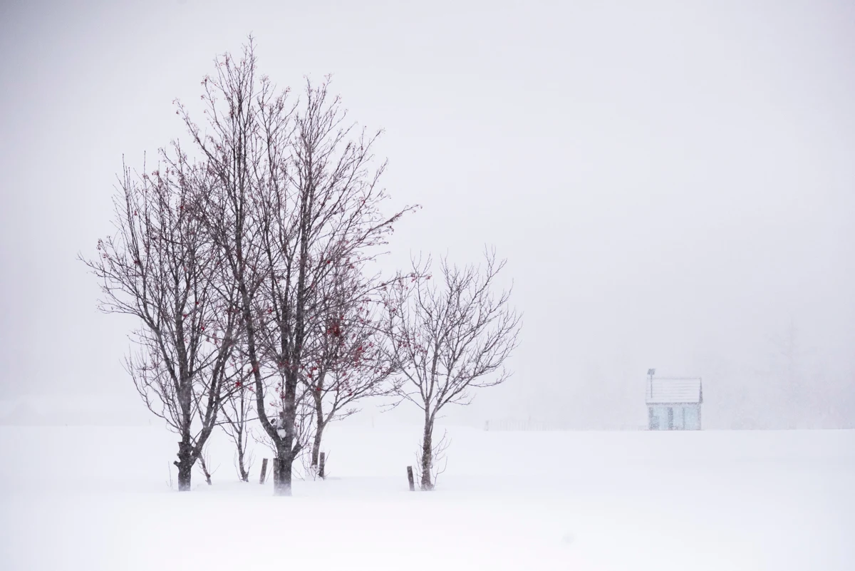 Fine art photograph from the Minimal Japan collection