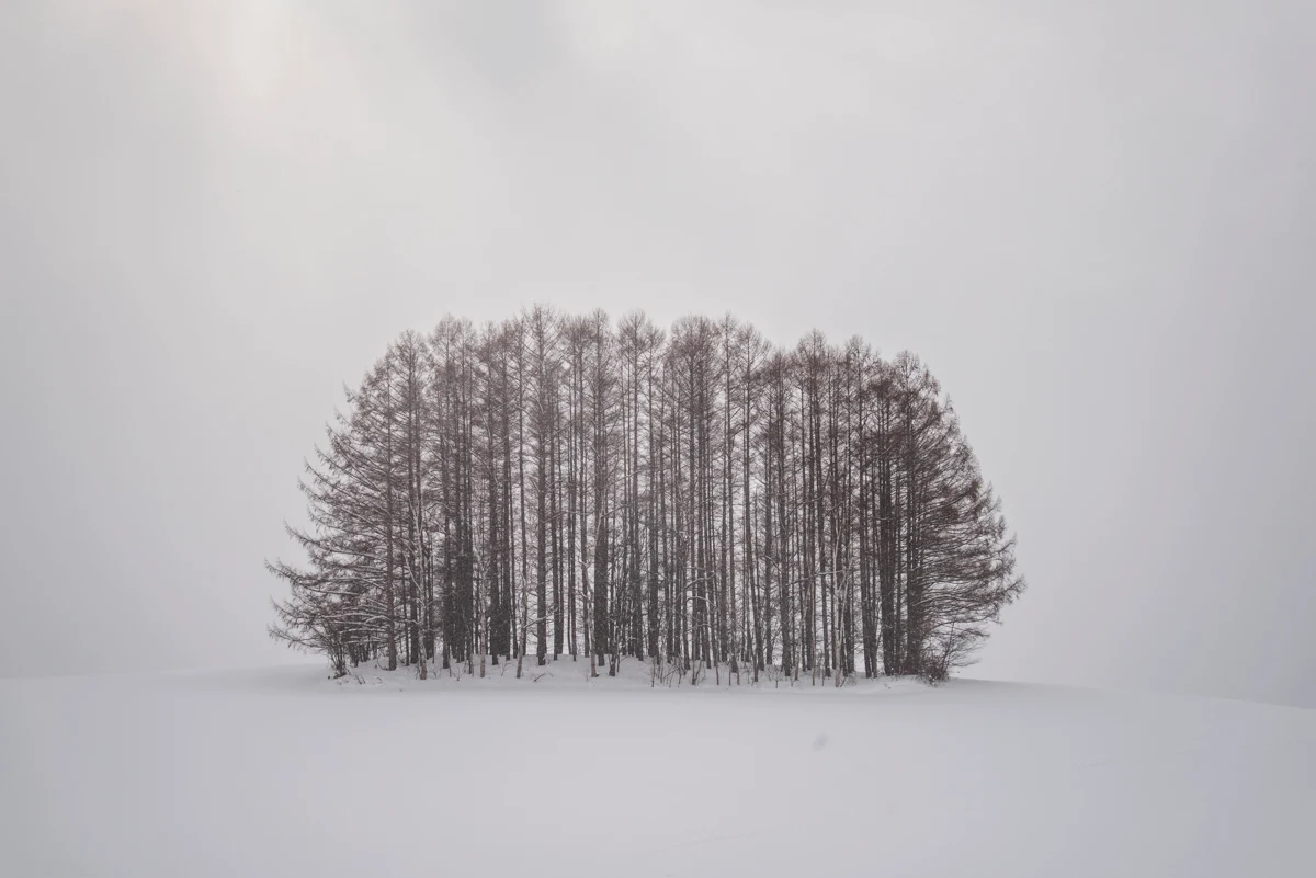 Fine art photograph from the Minimal Japan collection