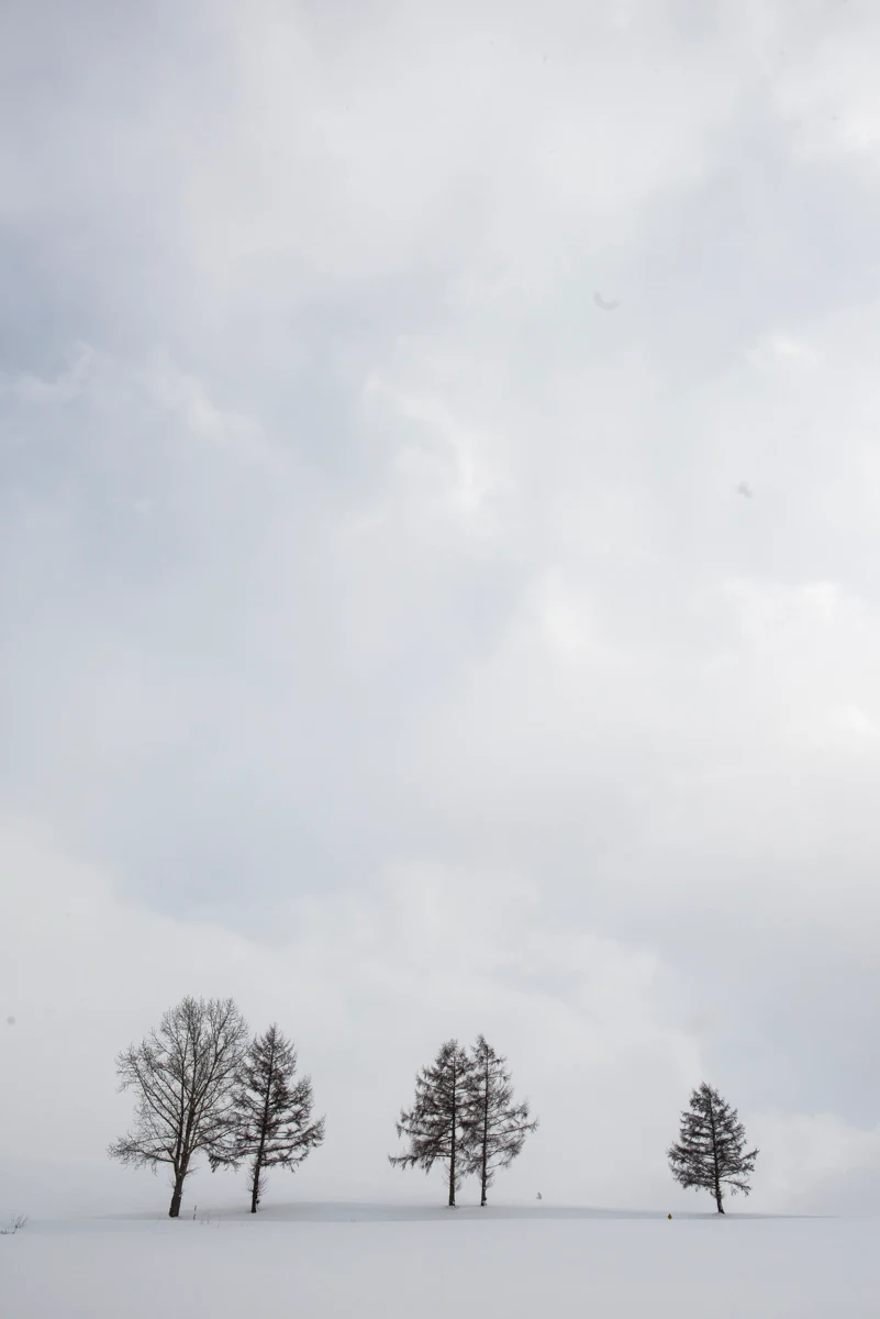 Fine art photograph from the Minimal Japan collection