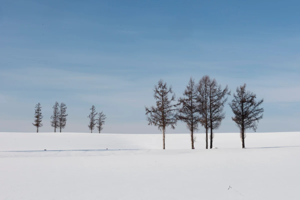 Fine art photograph from the Minimal Japan collection