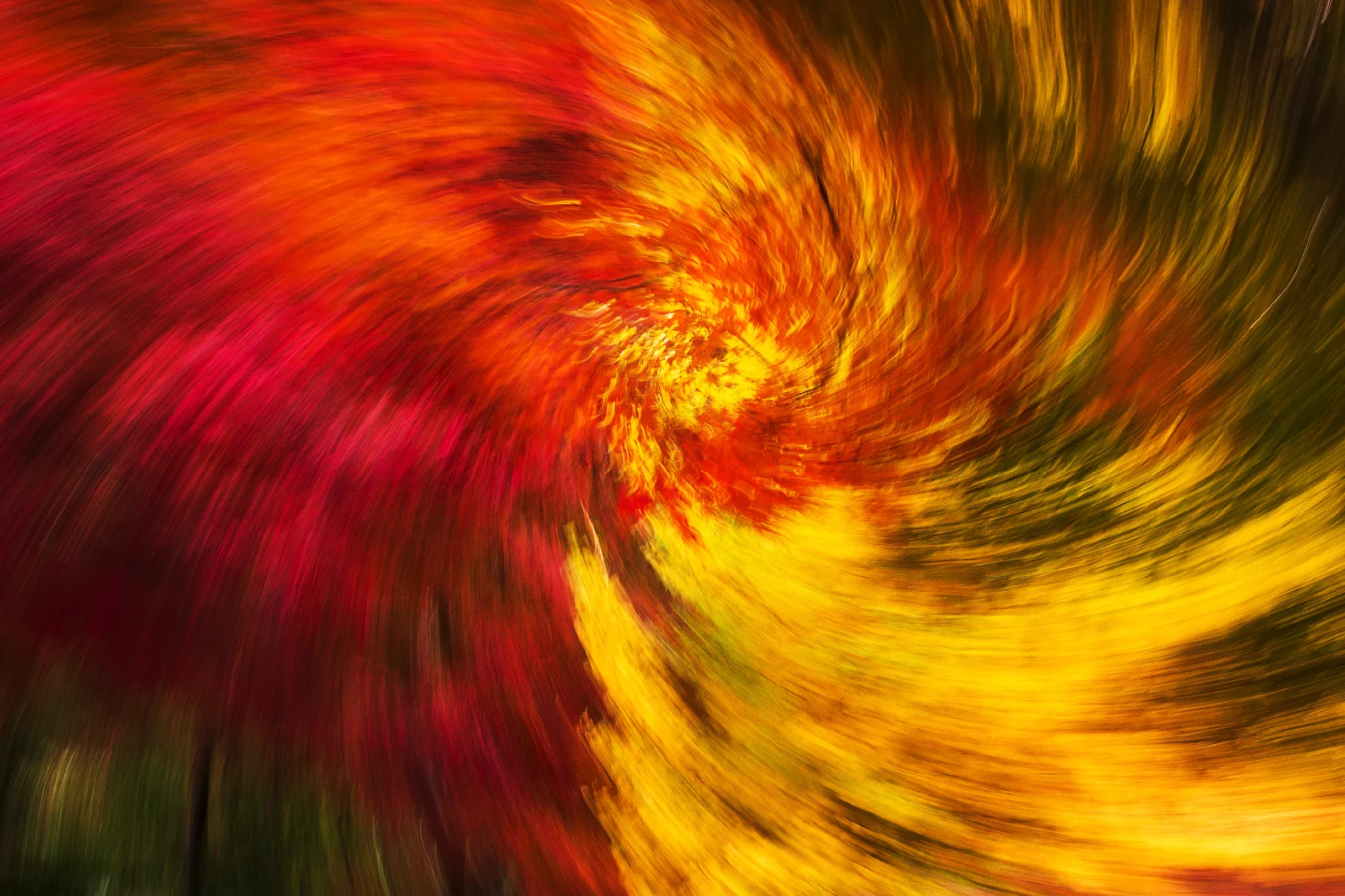 Fine art photograph from the Motion Japan collection