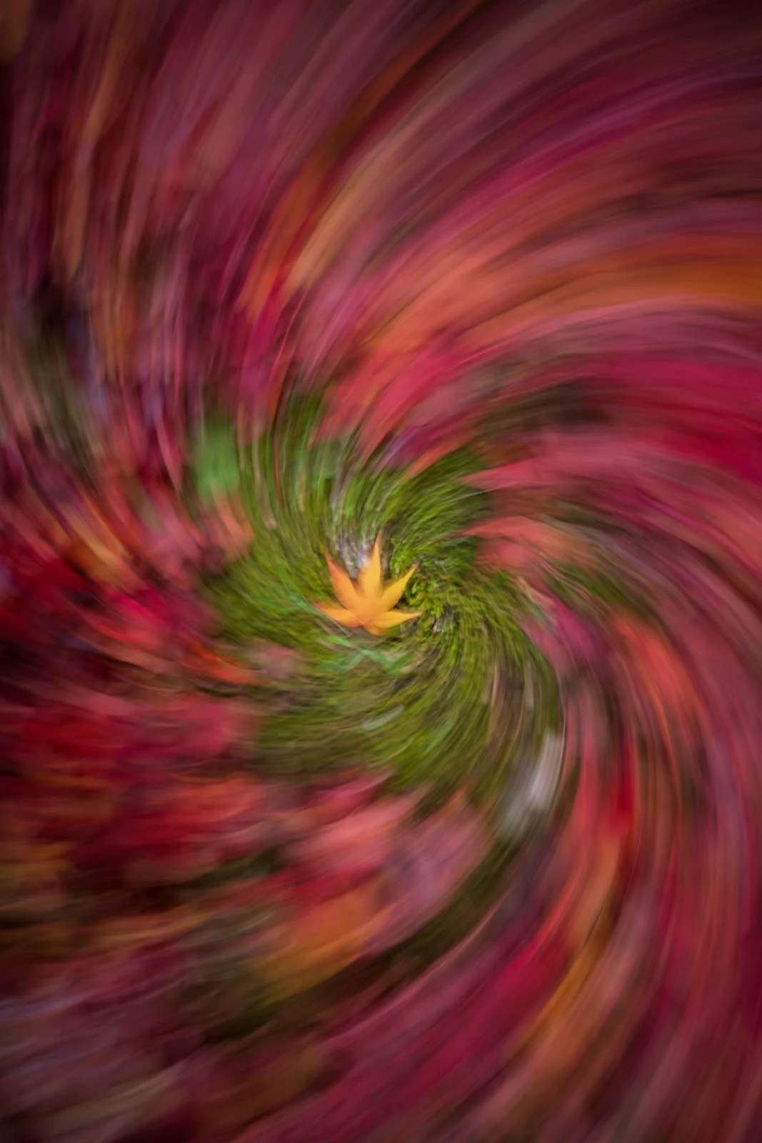 Japan Motion Autumn — fine art photograph from the Motion Japan collection