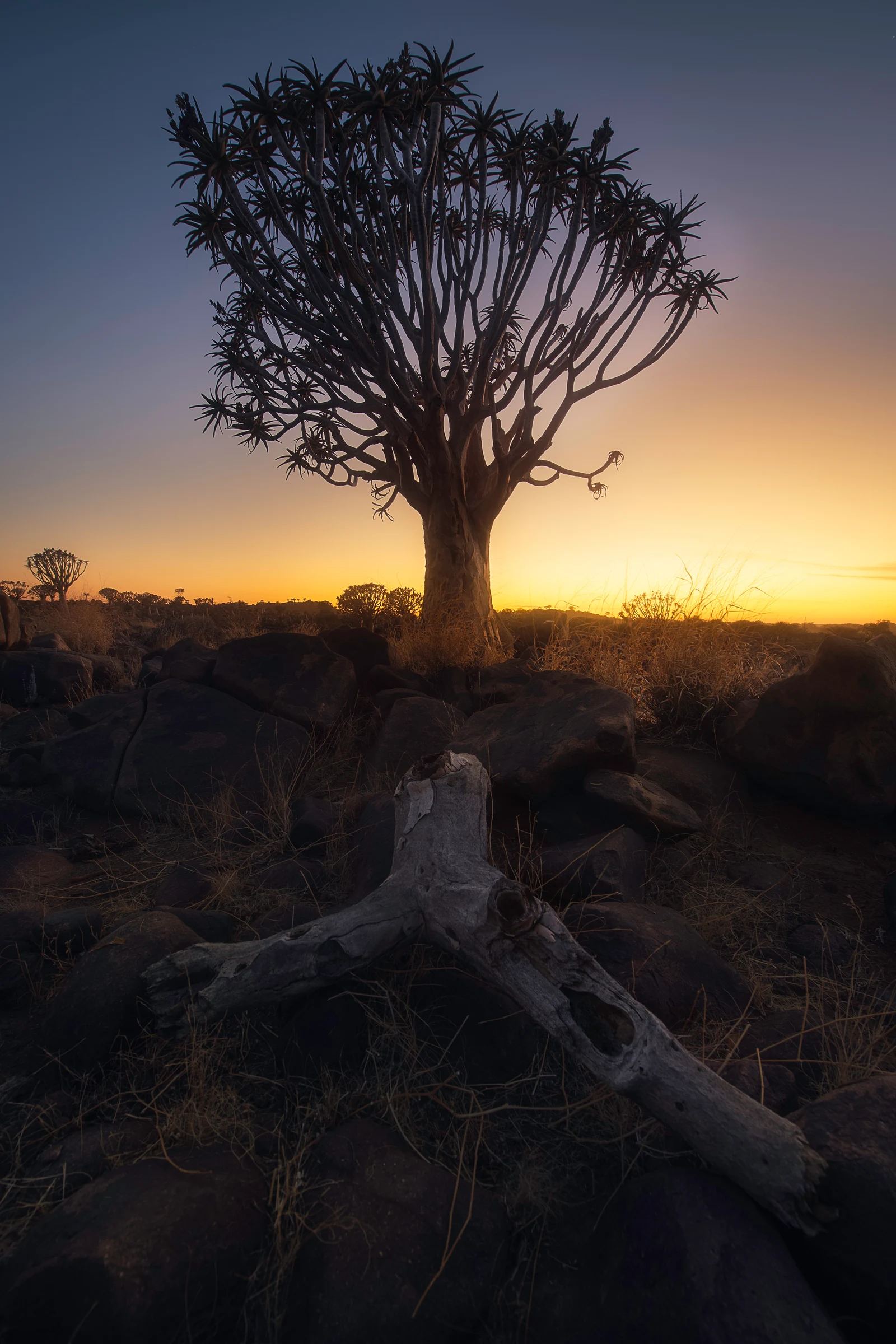 Fine art photograph from the Namibia collection