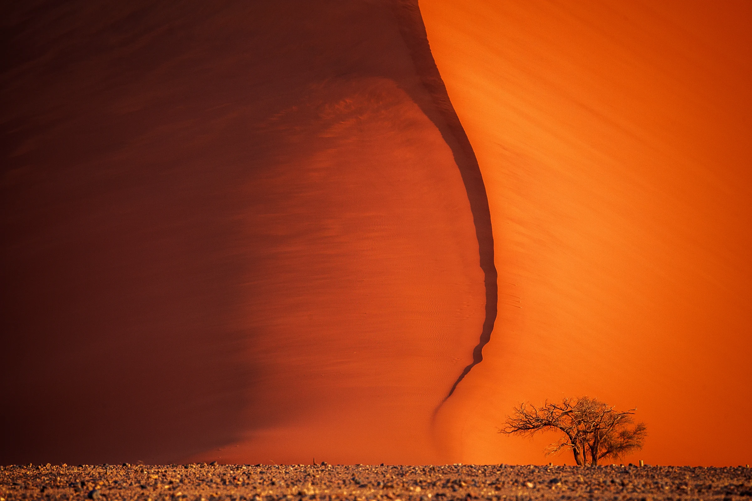 Fine art photograph from the Namibia collection