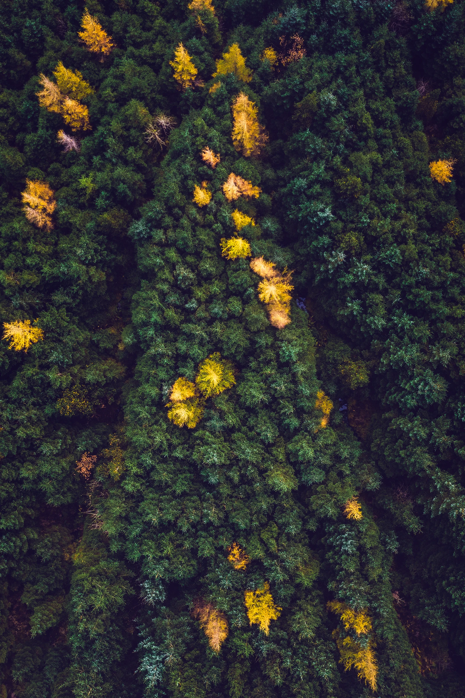 Fine art photograph from the Scotland Drone collection